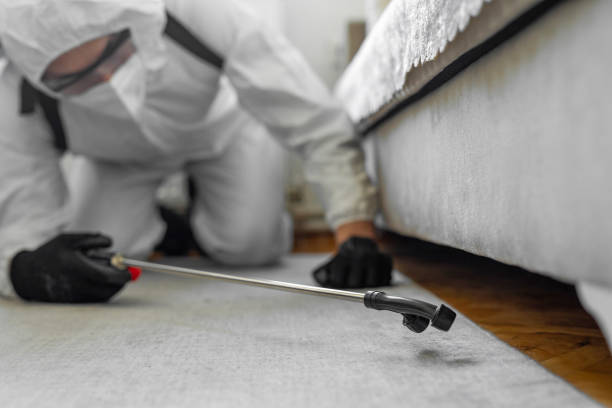 Professional Bed Bug Control technician working in Duenweg, MO
